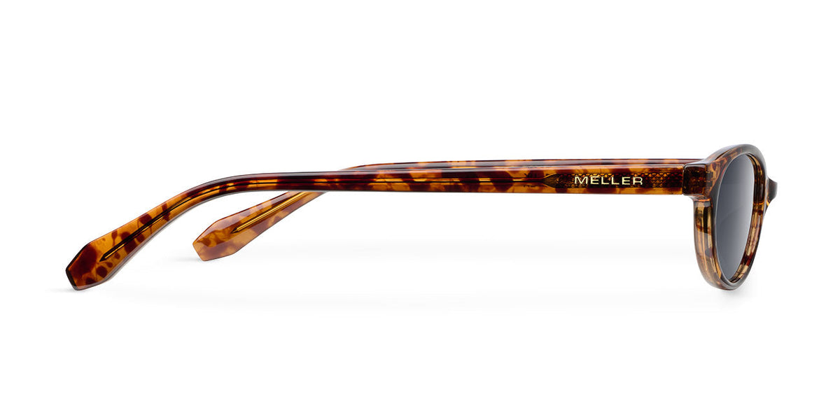 Binti Tigris Carbon