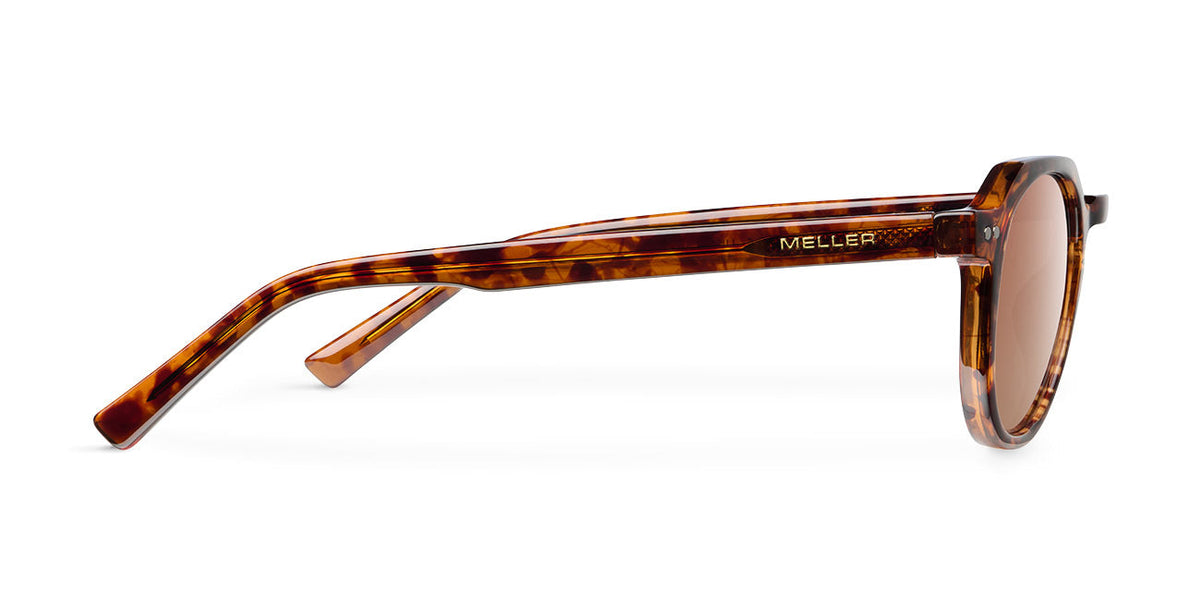 Chauen Tigris Brown