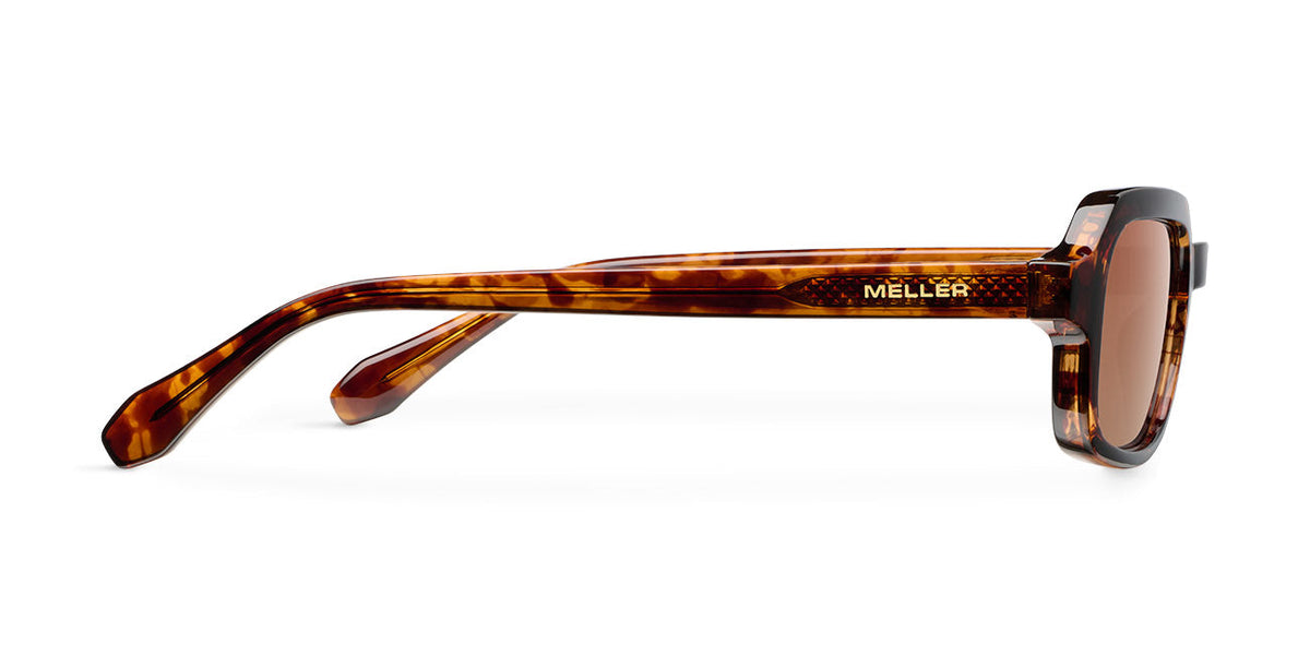 Dotia Tigris Brown