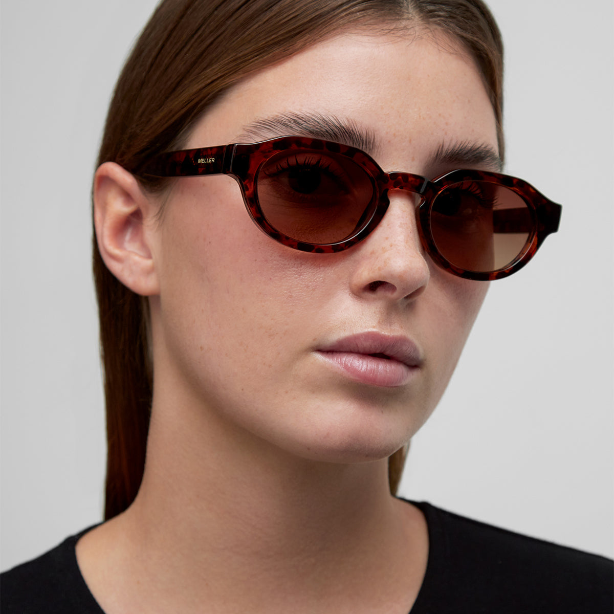 Tuma Tigris Brown