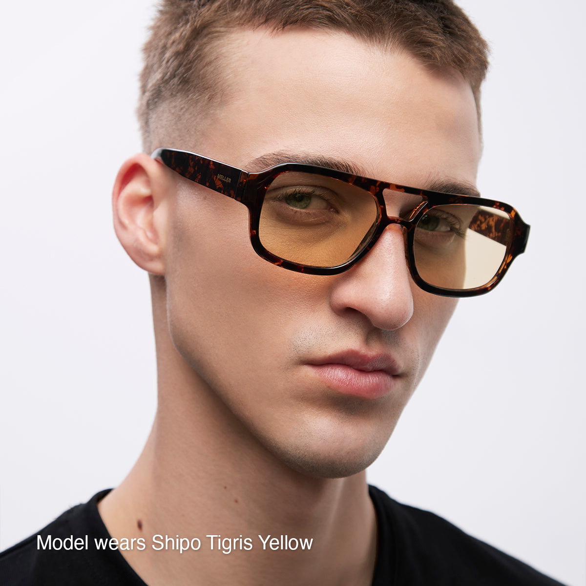 Shipo Maroon Brown