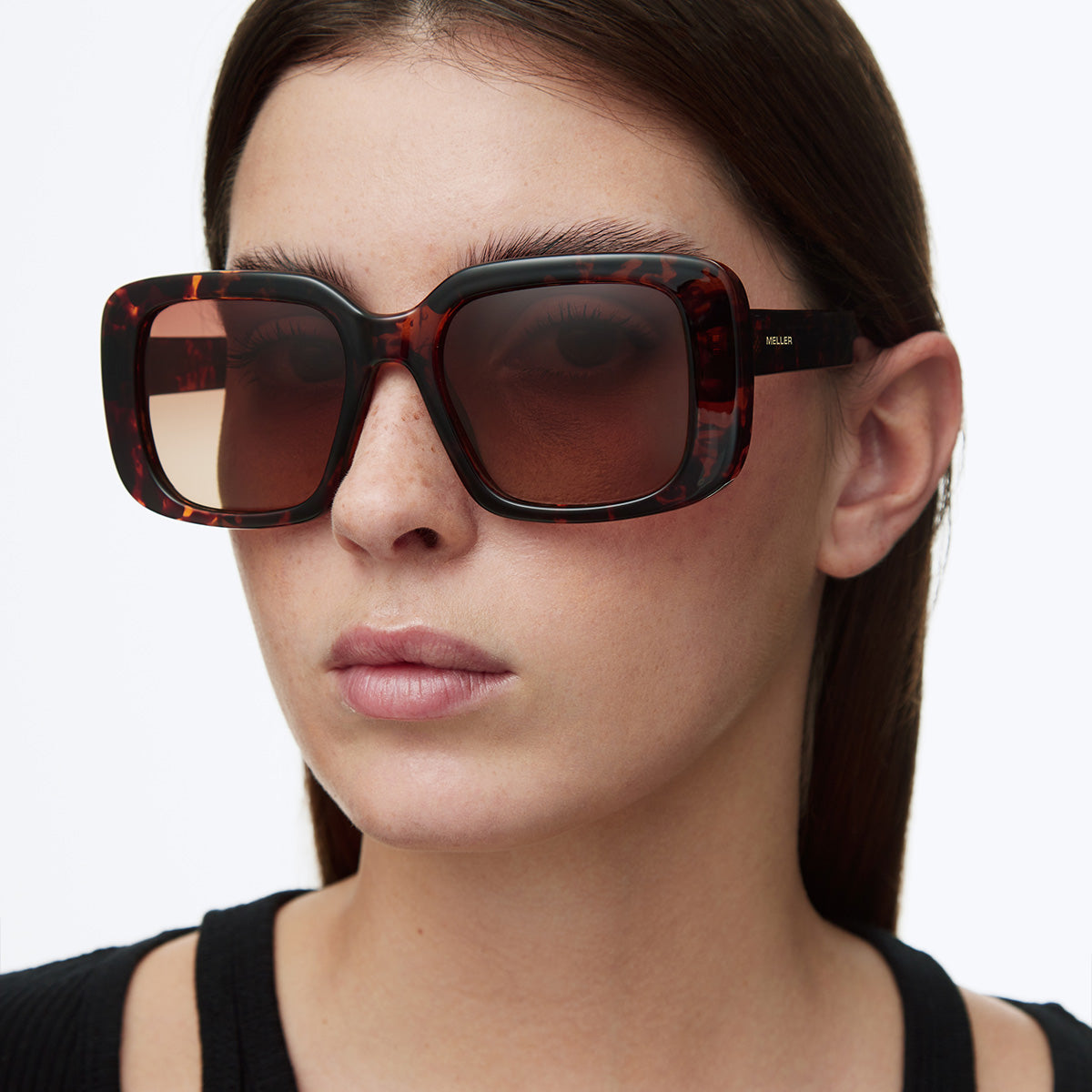 Bela Tigris Brown