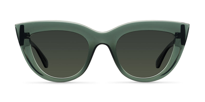 Karoo Fog Olive