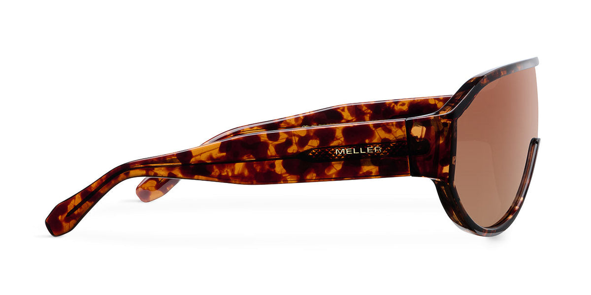 Zaki Tigris Brown
